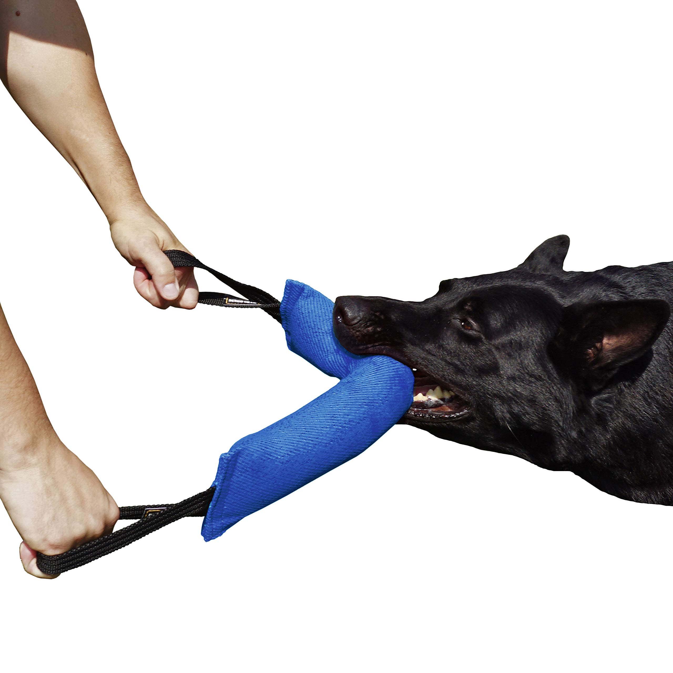 Dingo Gear Baumwolle-Nylon Beißwurst für Hundetraining K9 IGP IPO Obiedence Schutzhund Hundesport, 45 x 8 cm, 2 Griffen Blau S00067