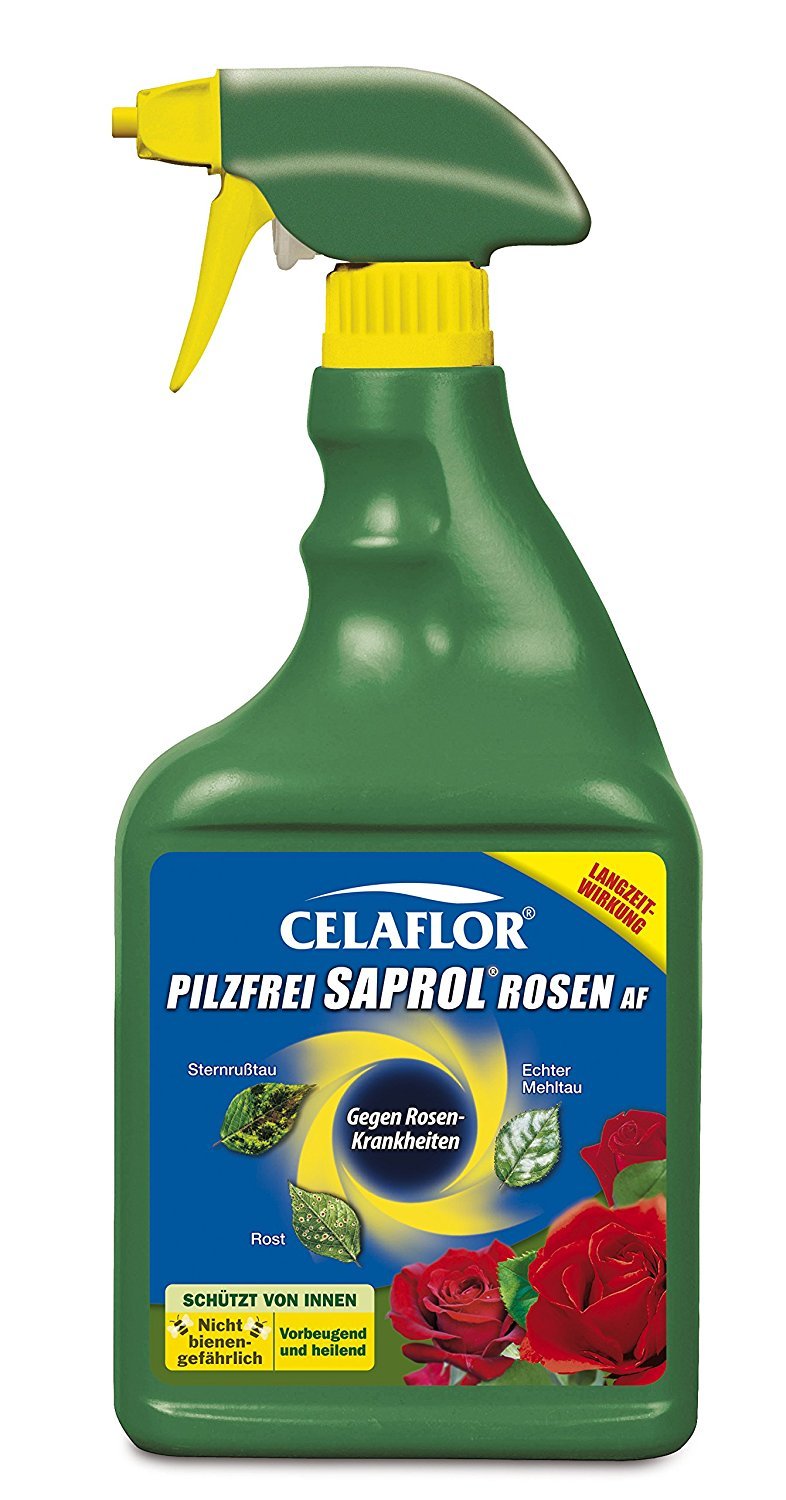 Celaflor Pilzfrei Saprol Rosen AF Anwendungsfertiges Rosen-Spritzmittel zur Bekämpfung von Pilzkrankeiten wie Rosenrost, Mehltau und Sternrußtau, 2 x 750 ml Sprühflasche