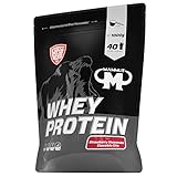 Mammut Nutrition Whey Protein Strawberry Cheesecake Chocolate Chips 1 kg