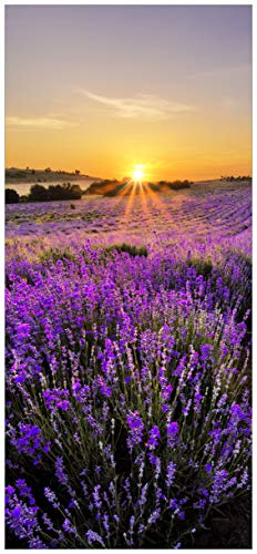 Wallario Selbstklebende Türtapete Sonnenuntergang über dem Lavendel - 93 x 205 cm in Premium-Qualität: Abwischbar, Brillante Farben, rückstandsfrei zu entfernen