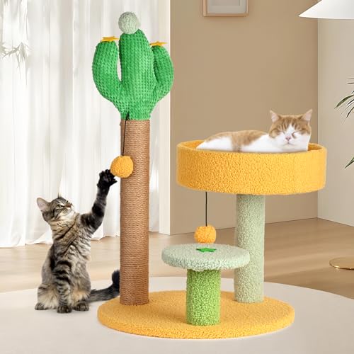 Katzen Kleine Katzenkratzer Pfosten für Indoor Katzen