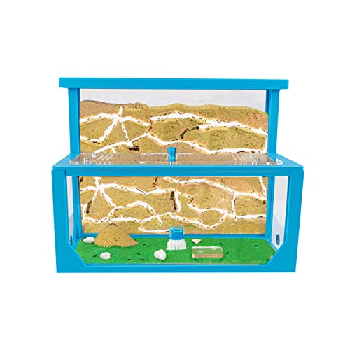 AntHouse - Natürliche Ameisenfarm aus Sand 3D | Modell L (Sandwich + Futterbox) Blau | Inklusive Ameisenkolonie