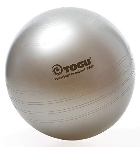 TOGU Powerball® Premium ABS® aktiv&gesund 55 cm silber