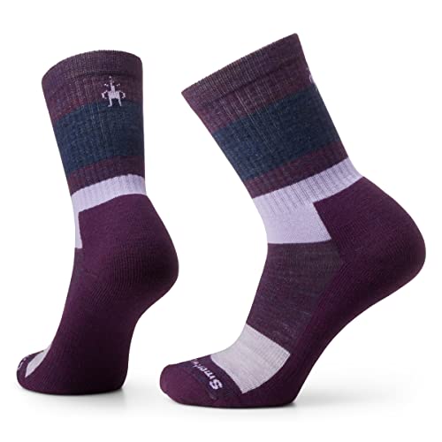 Smartwool Unisex-Adult Everyday Blocked Stripe Crew Socks, Purple IRIS, L