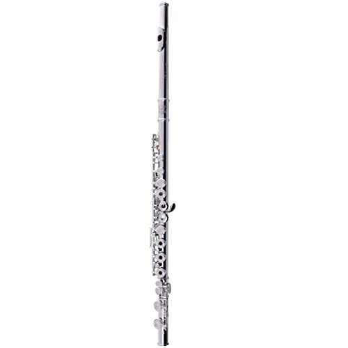 LCJQ Flöte C Stimme 16 17 Tasten geschlossenes Loch Flöte Instrument weiß versilbert Anfänger Erwachsene Kinder Grading Performance C Flöte Musikinstrument (Größe : 16 Löcher)