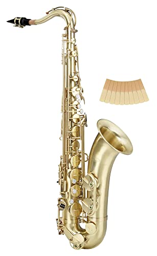 Classic Cantabile Winds TS-450 Brushed Bb Tenorsaxophon 2.5 Reed Set