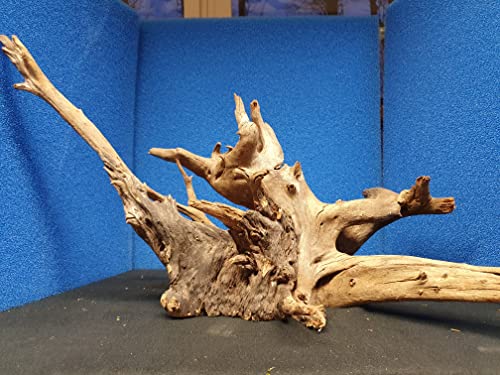 SAHAWA Mangroven Corbo Wurzel 20x30x40 cm für Aquarien Terrarien und Deko