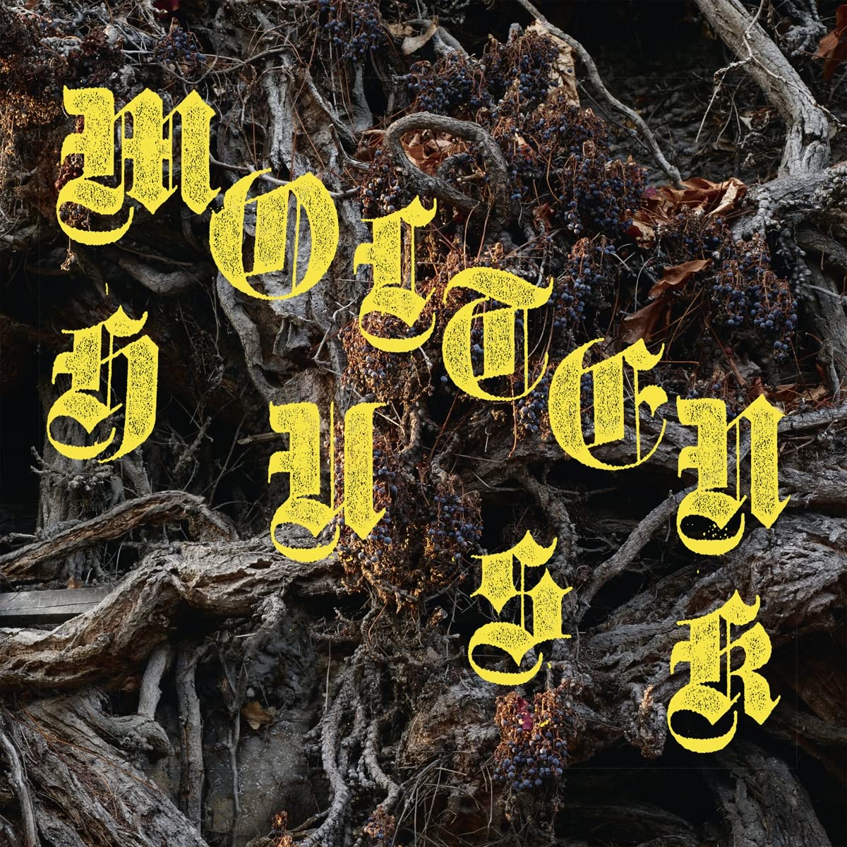 Molten Husk (180gr.) [Vinyl LP]