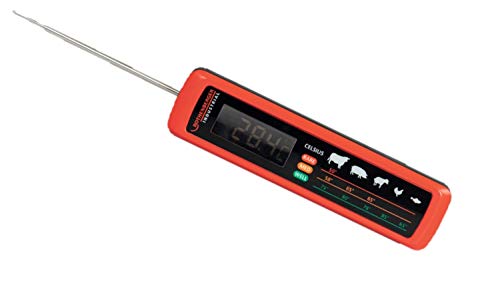 Rothenberger Industrial Grill-/ Fleischthermometer, Küchenthermometer, Haushaltsthermometer, Skala für optimale Garstufe, rot