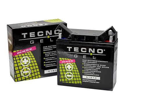 TECNO-GEL Motorrad-Batterie 51913 (51814) für BMW K 1100 LT, RS m/o ABS 1990-1998, 12V Gel-Batterie 22AH, 186x82x171 mm inkl. Pfand