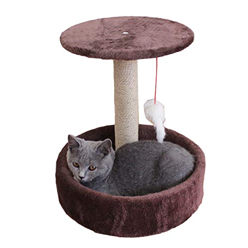 Katze Baum Turm Katze Kratzen Post Mit Frühling Plüsch Maus Spielzeug Katze Klettern Baum Katze Aktivität Plattform für Haustier Katze Welpen Spielen Entspannende Schlaf