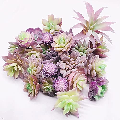Woohome 25 Stück Künstliche Sukkulenten Lila Unfotted Faux Blume Sukkulenten Sukkulenten Künstlich Gemischt für Zuhause Indoor Fairy Garden Dekorationen