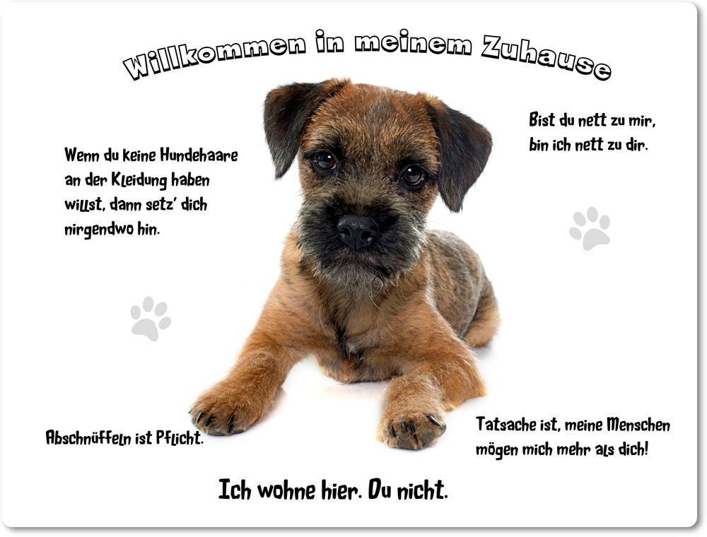 Merchandise for Fans Blechschild/Warnschild/Türschild - Aluminium - 30x40cm - - Willkommen in Meinem Zuhause - Motiv: Border Terrier - 01