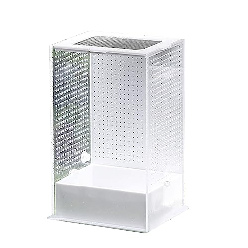 Durchsichtige Futterbox, Schlüpfbehälter mit Deckel für Geckos Supplies Transparent-Futterbox-Behälter-Tanks