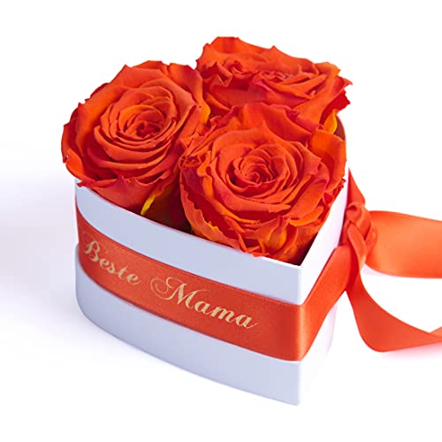 ROSEMARIE SCHULZ Heidelberg Für die Beste Mama der Welt 3 Infinity Rosen Herzbox zum Muttertag Geburtstag (Orange, 3 Rosen Für die Beste Mama der Welt)