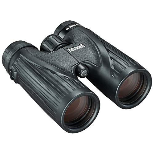 Bushnell Legend Ultra HD 10x42 Dachkant Standard Rainguard Fernglas schwarz