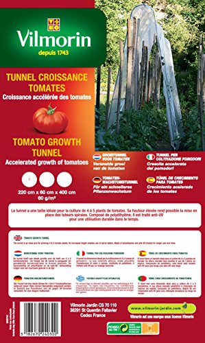 Vilmorin VA04130 Tomaten Gewächshaus Tunnel für Wachstum, 60 g/m², 60 x 220 cm 400 cm