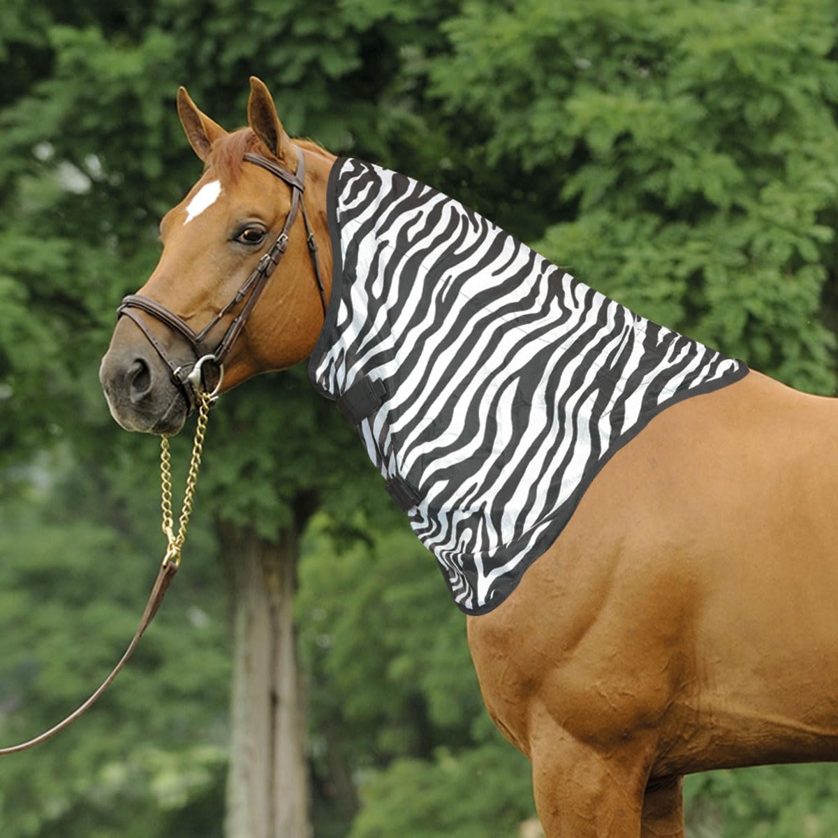 Horses, Fliegennetz für Komfort des Pferdes: Maximaler Schutz für Ihr Pferd, leicht und langlebig (120 cm)