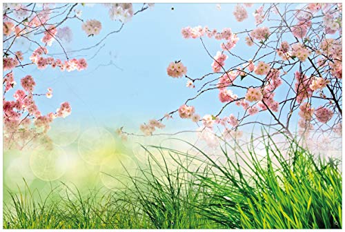 Wallario Outdoor-Poster für Garten oder Balkon Kirschblütenzweige und grüne Wiese- Frühling, Motivbanner Größe: ca. 60 x 90 cm, Outdoor-Bild