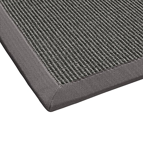 BODENMEISTER Sisal-Teppich modern hochwertige Bordüre Flachgewebe, verschiedene Farben und Größen, Variante: hell-grau, 60x110