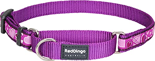 Red Dingo Martingale Hundehalsband, Größe L, Farbe Breezy Love Purple