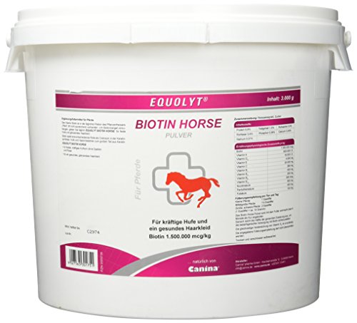 Equolyt Biotin Horse Pulver, 1er Pack (1 x 3 kg)