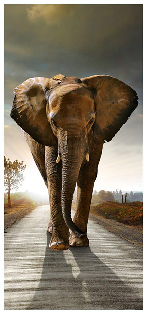 Wallario Selbstklebende Türtapete Elefant bei Sonnenaufgang in Afrika - Türposter 93 x 205 cm Abwischbar, rückstandsfrei zu entfernen