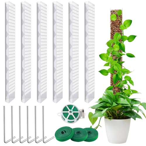 6 Stück 61 cm Kunststoff-Moosstangen für Pflanzen Monstera