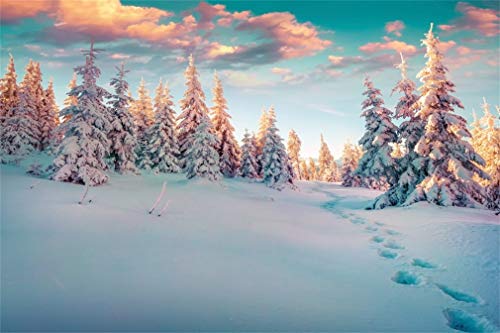 YongFoto 2,2x1,5m Vinyl Foto Hintergrund Winterlandschaft mit Spuren Schnee bedeckte Tannen Weihnachten Fotografie Hintergrund für Fotoshooting Fotostudio Requisiten