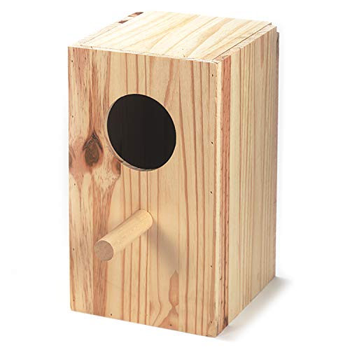 Arquivet 8435117856172 - Nest Holz Papageien