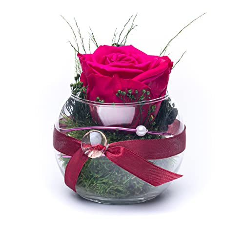 Rosen-Te-Amo Infinity Blume Blumen Gesteck - Haltbare Rosen-Box - Konserviertes Blumenarrangements (Kugel Vase, Magenta)