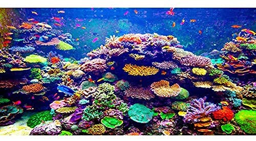 AWERT Hintergrund für Aquarien, Untersee-Motiv, 152,4 x 61 cm, Vinyl, bunt, Koralle, tropische Fische, Unterwasserwelt, Aquarium-Hintergrund