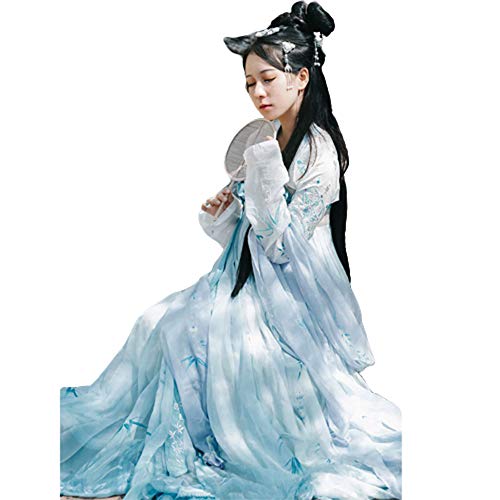 Hanfu Kleid, Vintage bestickte Hanfu chinesische Kleid für Frauen Langarm, für Party Fotoshooting Kleidung Cosplay Dance Kostüme