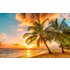 papermoon Vlies- Fototapete Digitaldruck 350 x 260 cm Barbados Palm Beach