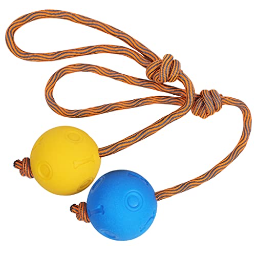 Hundespielzeug aus Seil, 2 Stück, Ball auf einem Seil, Hundespielzeug, unzerstörbar, natürlich, elastisch, Gummibälle zum Apportieren, Fangen, Werfen und Ziehen des Krieges (5 cm, blau + gelb)