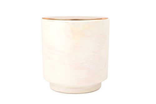 Paddywax Candles Glow Collection Duftkerze, Baumwolle und Teak, 17-Ounce