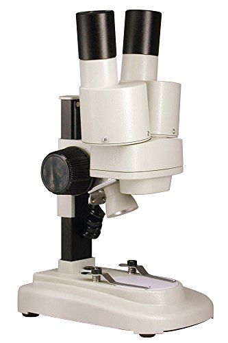 Paralux Lupe/Mikroskop TP Junior, für Kinder, mit LED + Mineralien 60–6230–1