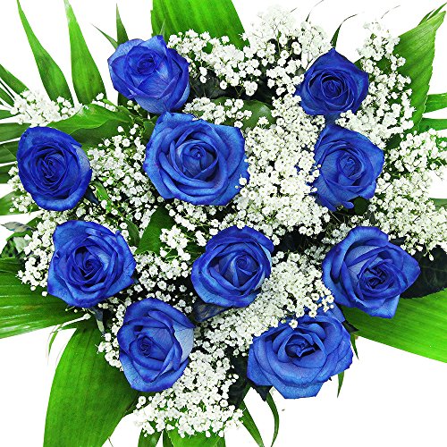 Blumenstrauß"10 echte blaue Rosen" - Langstielig - Blumen ideal zum Verschenken