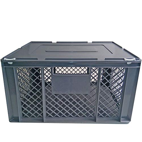 XL Transportbox für Kleintiere/Katzen/Kleine Hunde, Seitenwände vergittert, Boden geschlossen - LxBxH 600 x 400 x 320 mm, mit Scharnierdeckel
