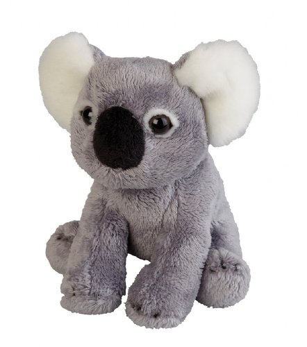 Ravensden – Suma Collection Plüschtier Mini Koala Plüsch, 15 cm