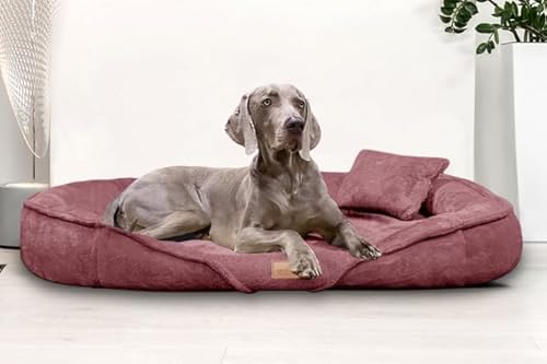 tierlando® Orthopädisches Hundebett Xenia | Kuschelig Flauschiges Hundesofa | Waschbar | Memory Foam XXL | Nude