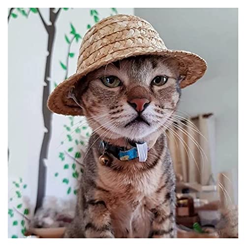 Z-LIANG Hawaiianische Stil pet Hut Stroh Hund Hut einstellbare Leine strandmütze für Katze welpen Kitten gestrickte Sonnenhut Haustier zubehör (Color : Beige, Tamaño : L)