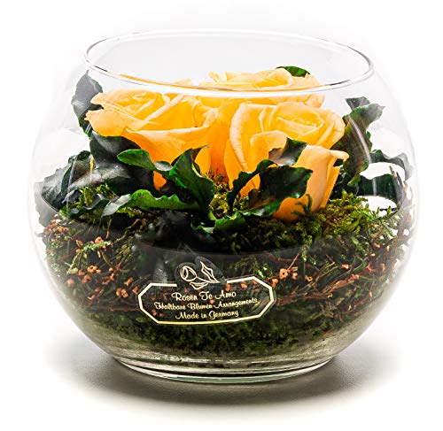 Rosen-Te-Amo Stilvoller Blumenstrauß aus 3 konservierte pfirsichfarben Blumen in der Vase; Infinity Rosen im Glass: schön handgefertigt aus 100% echtes Bindegrün - 3 Jahre haltbar ohne Wasser