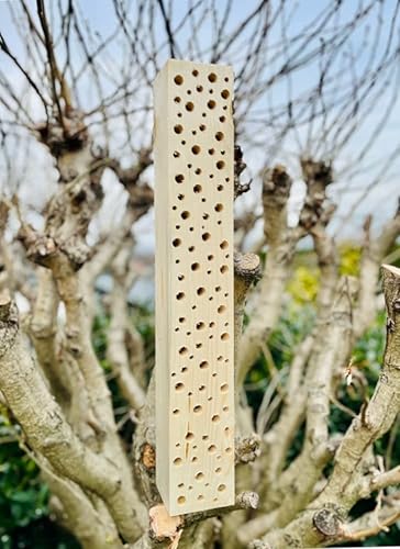 DARLUX Wildbienen - Insektenhotel Nisthilfe Holz Stamm Naturbelassen 30-90 cm Bienenhotel Stamm Insektenhotel Wildbienen Massivholz Wildbienenhotel (60 cm)