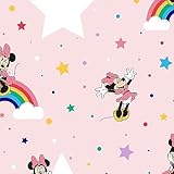 108592 Rainbow Minnie