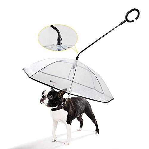 PETEMOO Hund Regenschirm mit Leine für Hundegehen im Freien (Schnee/Regen)