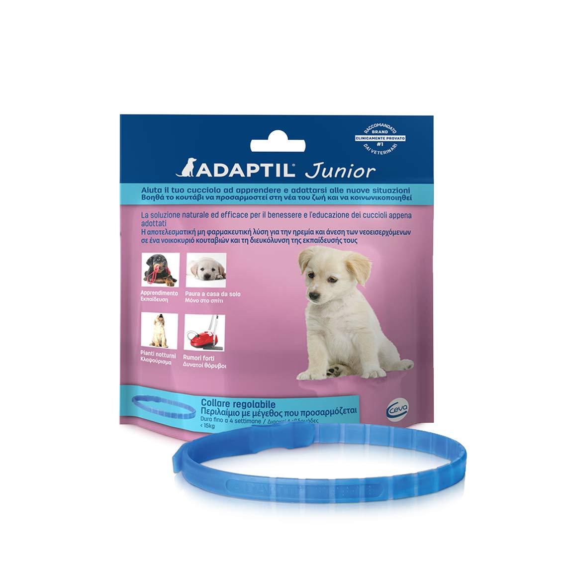 ADAPTIL® Calm Junior Halsband für Hunde – Hunde Welpen – beruhigende Pheromone Antistress für hyperaktive, ängstliche Hunde, Entspannung für Hunde, Reisen und stressige Momente