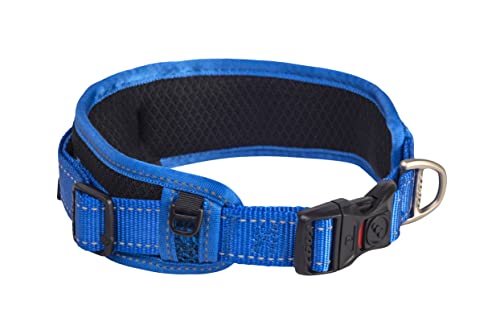 Hundehalsband, gepolstert, Größe XL, Blau