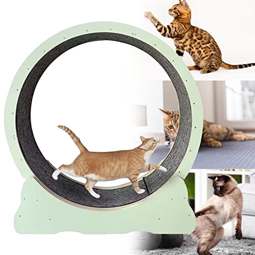 Kätzchen-Spielzeug, Laufband Mit Laufband Für Katzen, Leises Laufband Für Kleine, Mittelgroße Katzen, Leises Laufrad Für Katzen – Gewichtsverlustgerät Für Katzen,Green-M