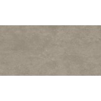 Gres Panaria Feinsteinzeug »Stamford«, , grau matt, 59,8x119,8x0,6 cm, rektifiziert